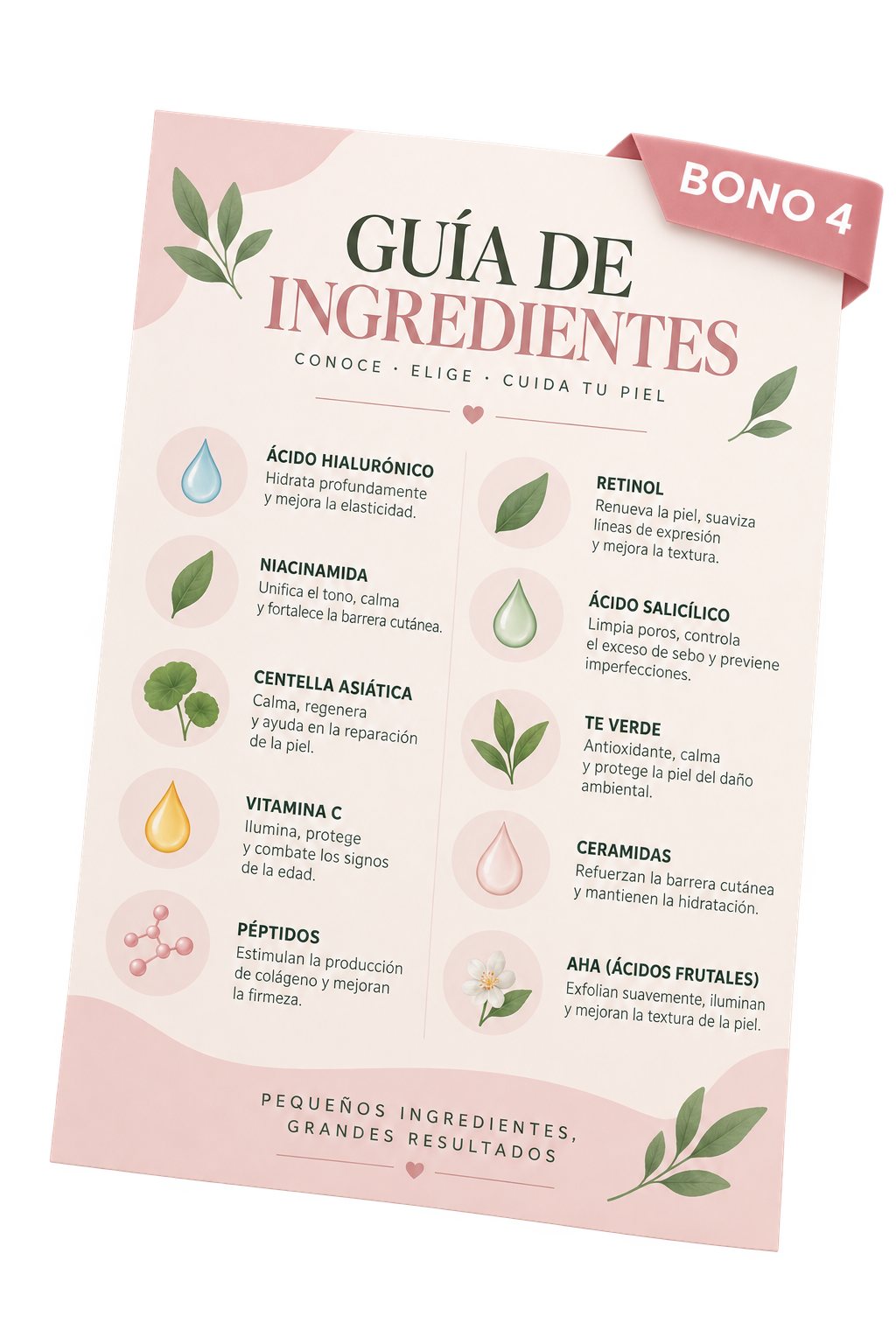 Guía rápida de ingredientes